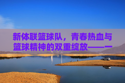 新体联篮球队，青春热血与篮球精神的双重绽放——一支以篮球为纽带，凝聚青春力量的运动团队简介