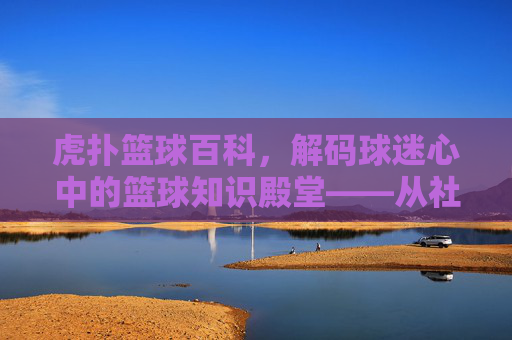 虎扑篮球百科,解码球迷心中的篮球知识殿堂——从社区到专业的深度解析