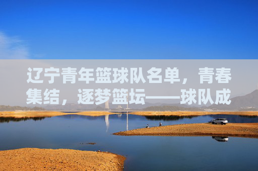 辽宁青年篮球队名单，青春集结，逐梦篮坛——球队成员与背景全解析