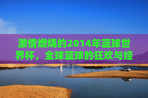 激情燃烧的2014年篮球世界杯,全球篮球的狂欢与经典印记