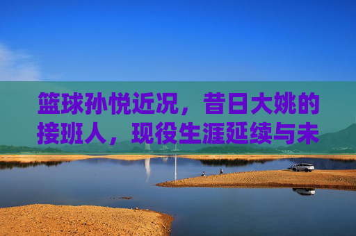 篮球孙悦近况，昔日大姚的接班人，现役生涯延续与未来展望