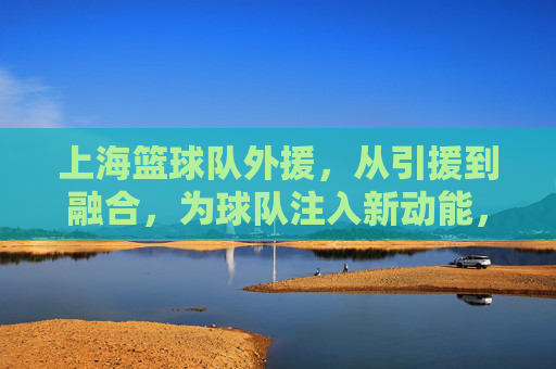 上海篮球队外援，从引援到融合，为球队注入新动能，上海篮球队外援，从引援到融合，为球队注入新动能