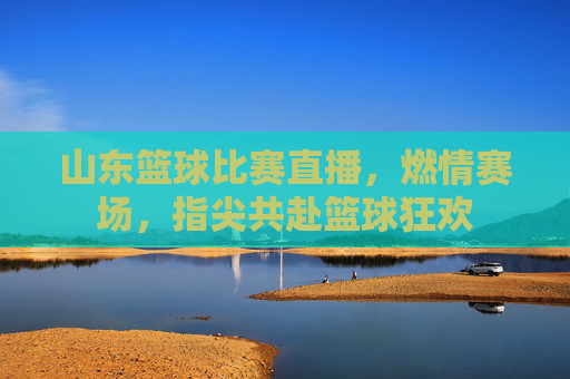 山东篮球比赛直播，燃情赛场，指尖共赴篮球狂欢