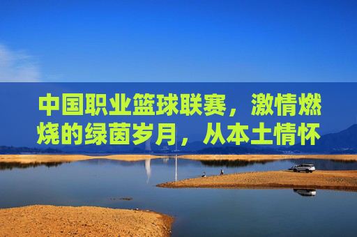 中国职业篮球联赛，激情燃烧的绿茵岁月，从本土情怀到世界舞台的崛起之路，中国职业篮球联赛，激情燃烧的绿茵岁月，从本土情怀到世界舞台的崛起之路