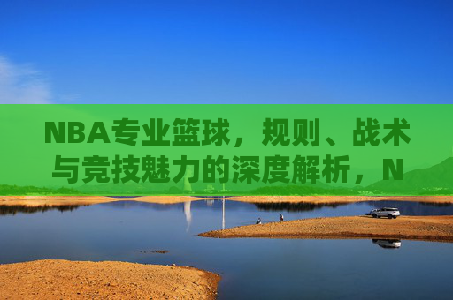 NBA专业篮球,规则、战术与竞技魅力的深度解析,NBA专业篮球,规则、战术与竞技魅力的深度解析