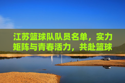 江苏篮球队队员名单，实力矩阵与青春活力，共赴篮球梦想的舞台，江苏篮球队队员名单，实力矩阵与青春活力，共赴篮球梦想的舞台