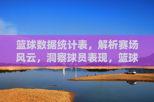 篮球数据统计表，解析赛场风云，洞察球员表现，篮球数据统计表，解析赛场风云，洞察球员表现