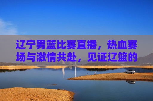 辽宁男篮比赛直播，热血赛场与激情共赴，见证辽篮的每一次拼搏与荣耀，辽宁男篮比赛直播，热血赛场与激情共赴，见证辽篮的每一次拼搏与荣耀