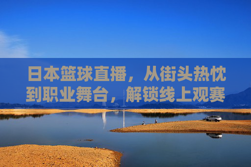 日本篮球直播,从街头热忱到职业舞台,解锁线上观赛的全新体验,日本篮球直播,从街头热忱到职业舞台,解锁线上观赛全新体验
