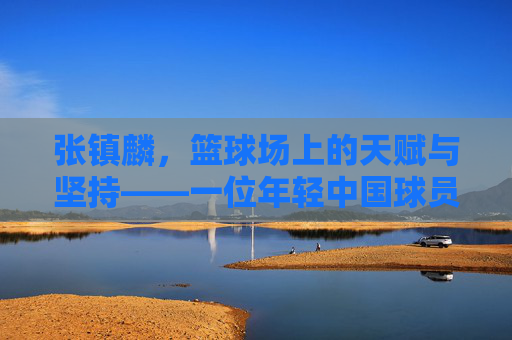 张镇麟，篮球场上的天赋与坚持——一位年轻中国球员的崛起之路，张镇麟，篮球场上的天赋与坚持——一位年轻中国球员的崛起之路