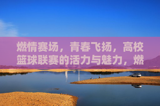 燃情赛场,青春飞扬,高校篮球联赛的活力与魅力,燃情赛场,青春飞扬,高校篮球联赛的活力与魅力