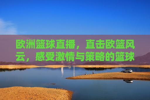 欧洲篮球直播,直击欧篮风云,感受激情与策略的篮球盛宴,欧洲篮球直播,直击欧篮风云,感受激情与策略的篮球盛宴