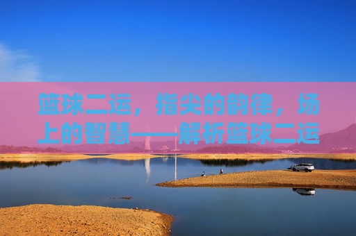 篮球二运，指尖的韵律，场上的智慧——解析篮球二运的核心技巧与实战应用，篮球二运，指尖的韵律，场上的智慧——解析篮球二运的核心技巧与实战应用