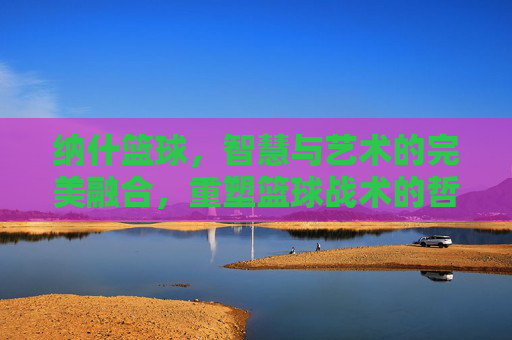 纳什篮球,智慧与艺术的完美融合,重塑篮球战术的哲学高度,纳什篮球,智慧与艺术的完美融合,重塑篮球战术的哲学高度