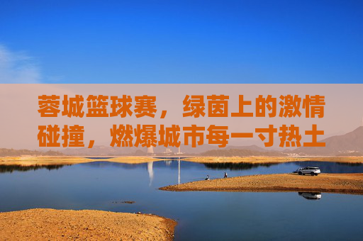 蓉城篮球赛，绿茵上的激情碰撞，燃爆城市每一寸热土