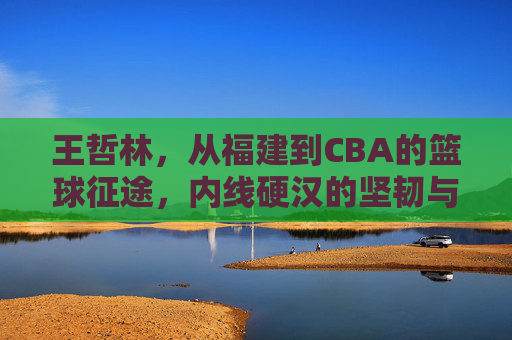 王哲林，从福建到CBA的篮球征途，内线硬汉的坚韧与突破，王哲林，从福建到CBA的征途，内线硬汉的坚韧与突破