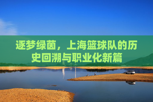 逐梦绿茵,上海篮球队的历史回溯与职业化新篇