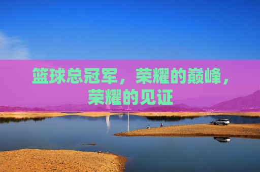 篮球总冠军,荣耀的巅峰,荣耀的见证