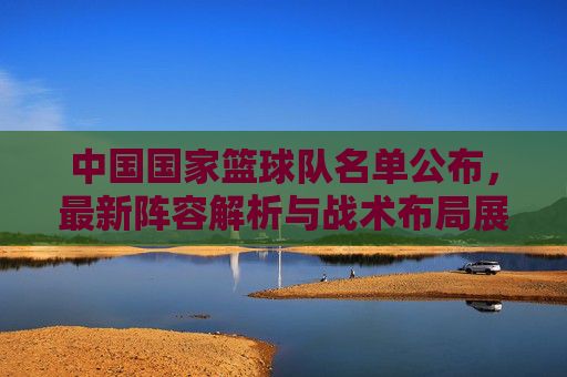 中国国家篮球队名单公布，最新阵容解析与战术布局展望