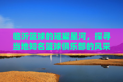 临沂篮球的璀璨星河，探寻当地知名篮球俱乐部的风采与魅力，临沂篮球的璀璨星河，探寻当地知名篮球俱乐部的风采与魅力