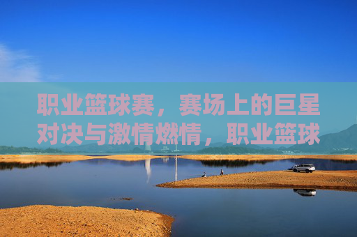 职业篮球赛，赛场上的巨星对决与激情燃情，职业篮球赛，赛场上的巨星对决与激情燃情