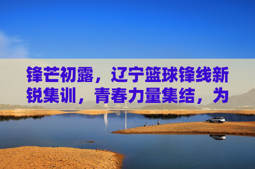 锋芒初露,辽宁篮球锋线新锐集训,青春力量集结,为未来战力蓄能
