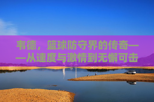 韦德，篮球防守界的传奇——从速度与激情到无懈可击的防守体系，韦德，篮球防守界的传奇——从速度与激情到无懈可击的防守体系