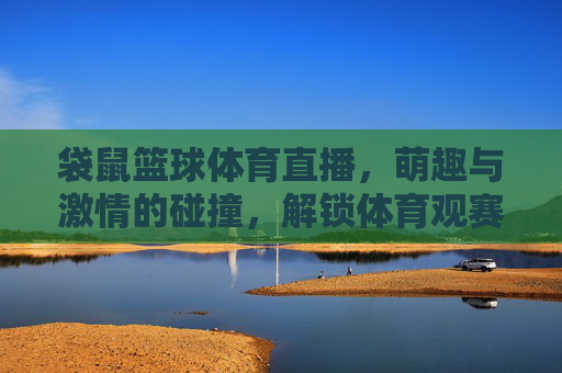 袋鼠篮球体育直播,萌趣与激情的碰撞,解锁体育观赛新体验