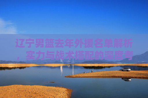 辽宁男篮去年外援名单解析，实力与战术搭配的深度考量，辽宁男篮去年外援名单解析，实力与战术搭配的深度考量