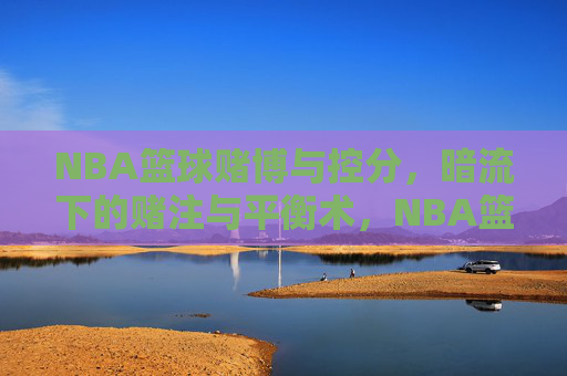 NBA篮球赌博与控分,暗流下的赌注与平衡术,NBA篮球赌博与控分,暗流下的赌注与平衡术