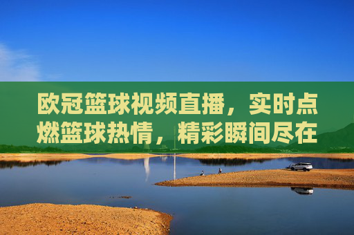 欧冠篮球视频直播，实时点燃篮球热情，精彩瞬间尽在掌握，欧冠篮球视频直播，实时点燃篮球热情，精彩瞬间尽在掌握
