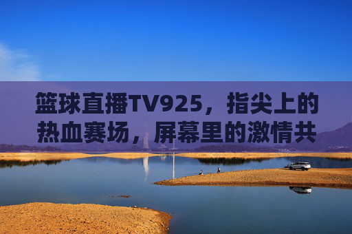 篮球直播TV925，指尖上的热血赛场，屏幕里的激情共鸣，篮球直播TV925，指尖上的热血赛场，屏幕里的激情共鸣
