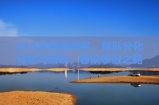 CBA本赛季排名,强队分化与黑马涌现,各队争冠之路暗流涌动,CBA本赛季排名,强队分化与黑马涌现,各队争冠之路暗流涌动