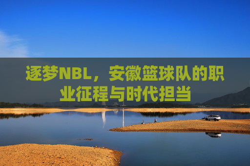 逐梦NBL，安徽篮球队的职业征程与时代担当