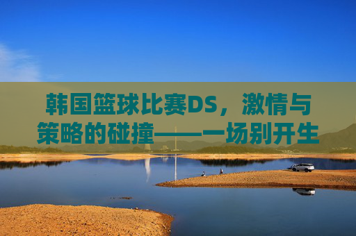 韩国篮球比赛DS,激情与策略的碰撞——一场别开生面的赛事解析