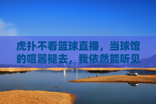 虎扑不看篮球直播,当球馆的喧嚣褪去,我依然能听见热爱的心跳