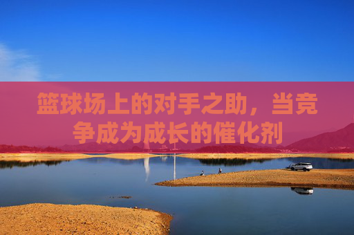篮球场上的对手之助,当竞争成为成长的催化剂