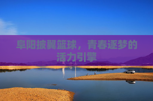 阜阳披翼篮球，青春逐梦的活力引擎