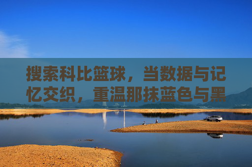 搜索科比篮球,当数据与记忆交织,重温那抹蓝色与黑色交织的传奇
