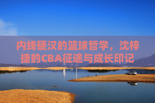 内线硬汉的篮球哲学，沈梓捷的CBA征途与成长印记