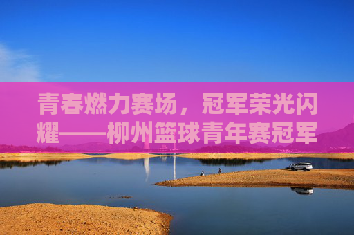 青春燃力赛场,冠军荣光闪耀——柳州篮球青年赛冠军队伍风采,青春燃力赛场,冠军荣光闪耀——柳州篮球青年赛冠军队伍风采