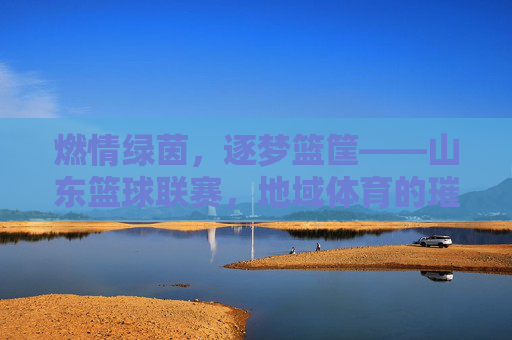 燃情绿茵,逐梦篮筐——山东篮球联赛,地域体育的璀璨星河