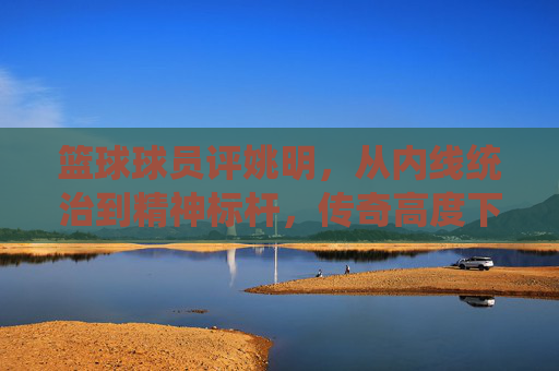 篮球球员评姚明，从内线统治到精神标杆，传奇高度下的谦逊光芒，篮球球员评姚明，从内线统治到精神标杆，传奇高度下的谦逊光芒