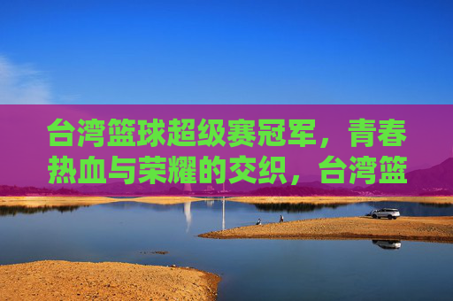 台湾篮球超级赛冠军,青春热血与荣耀的交织,台湾篮球超级赛冠军,青春热血与荣耀的交织
