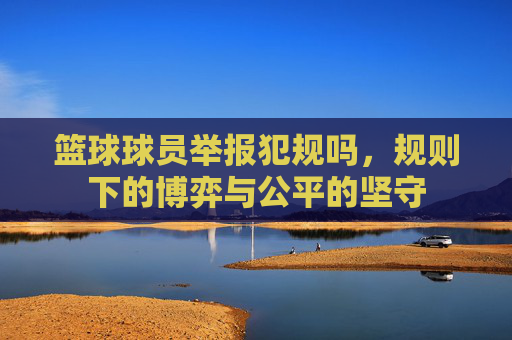 篮球球员举报犯规吗,规则下的博弈与公平的坚守
