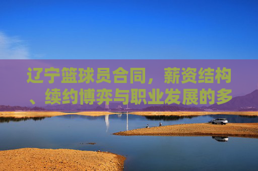 辽宁篮球员合同,薪资结构、续约博弈与职业发展的多维解析,辽宁篮球员合同,薪资结构、续约博弈与职业发展的多维解析