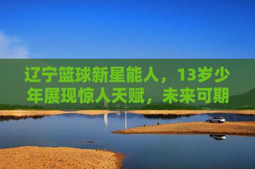 辽宁篮球新星能人,13岁少年展现惊人天赋,未来可期,辽宁13岁篮球新星能人,天赋惊人,未来可期