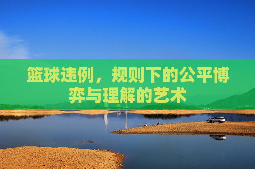 篮球违例,规则下的公平博弈与理解的艺术