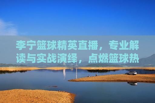 李宁篮球精英直播，专业解读与实战演绎，点燃篮球热情的精英盛宴，李宁篮球精英直播，专业解读与实战演绎，点燃篮球热情的精英盛宴