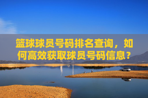 篮球球员号码排名查询,如何高效获取球员号码信息?篮球球员号码排名查询,高效获取球员号码信息的实用方法